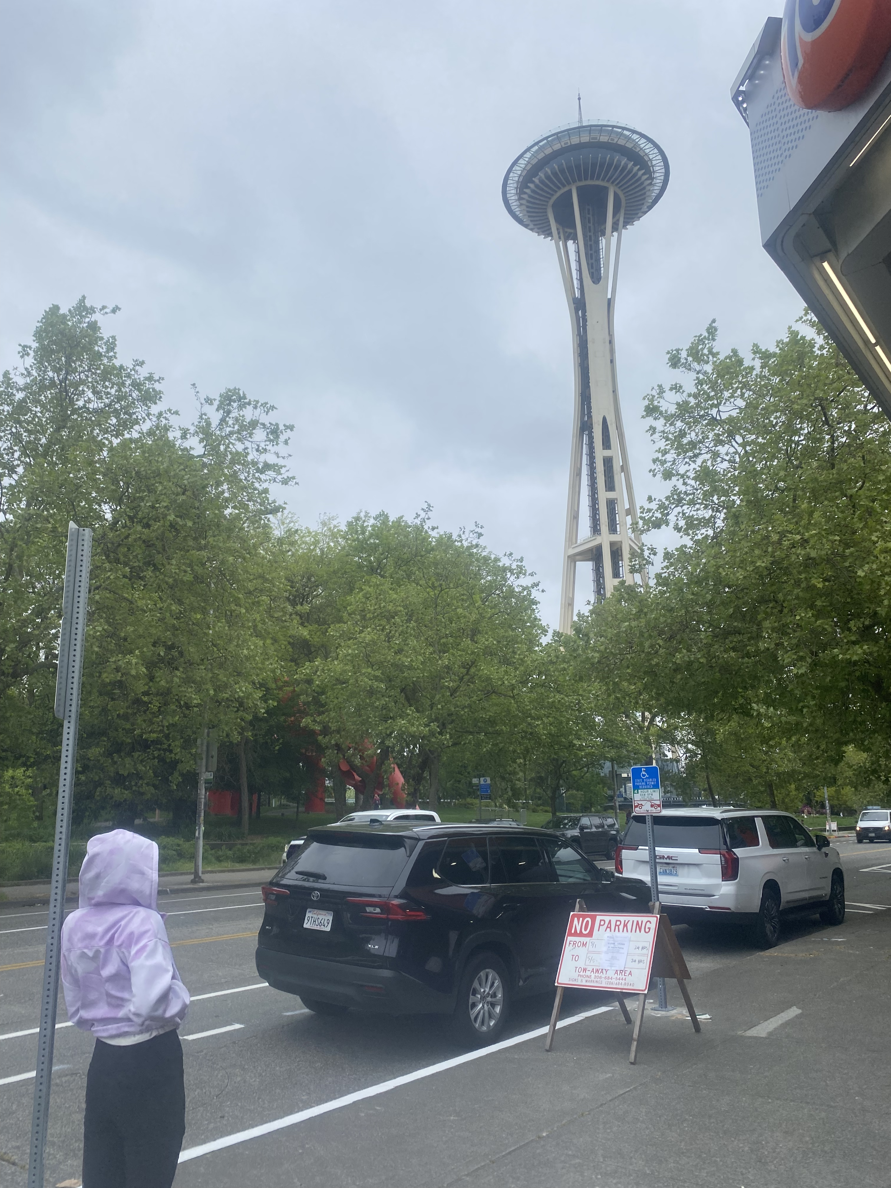 Princess Cat on a Seattle street with the Space Needle overhead